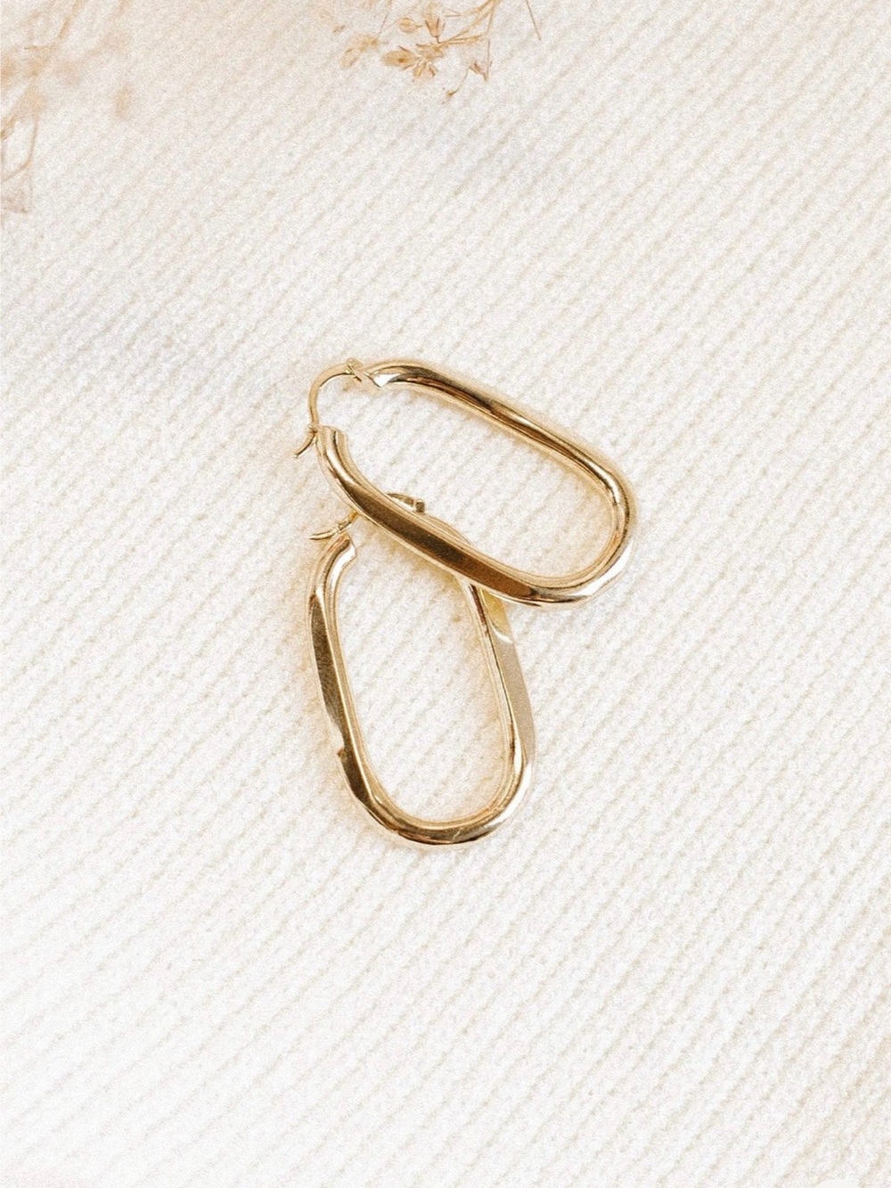 Petal & Pup Mae Gold Hoop Earrings NWT Never Worn